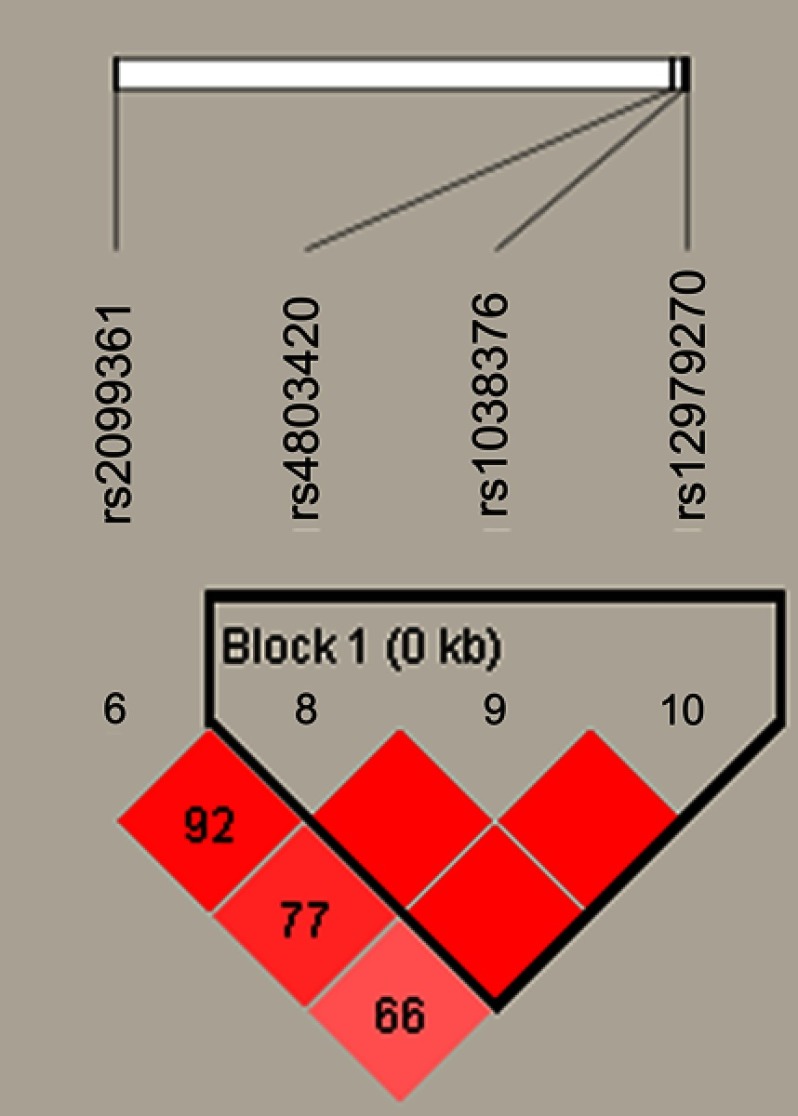 <i>CYP2B6</i> genetic polymorphisms influence chronic obstructive pulmonary disease susceptibility in the Hainan population.