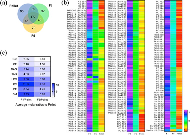 Lipidomic characterization of extracellular vesicles in human serum.