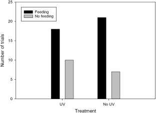 UV-induced anthocyanin in the host plant Sedum lanceolatum has little effect on feeding by larval Parnassius smintheus