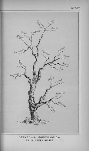 PAOLO MANTEGAZZA'S VISION: The Science of Man behind the World's First Museum of Anthropology (Florence, Italy, 1869)