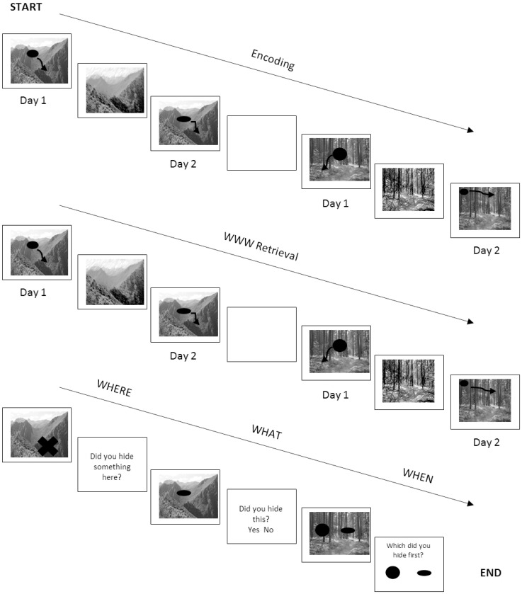 Experimental Effects of Acute High-Intensity Resistance Exercise on Episodic Memory Function: Consideration for Post-Exercise Recovery Period.