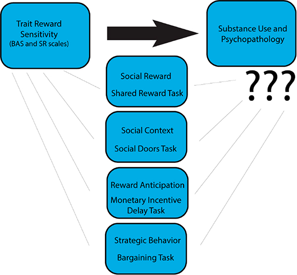 The Role of Social Reward and Corticostriatal Connectivity in Substance Use.