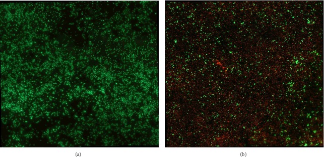 Cellular Reference Materials for DNA Damage Using Electrochemical Oxidation.