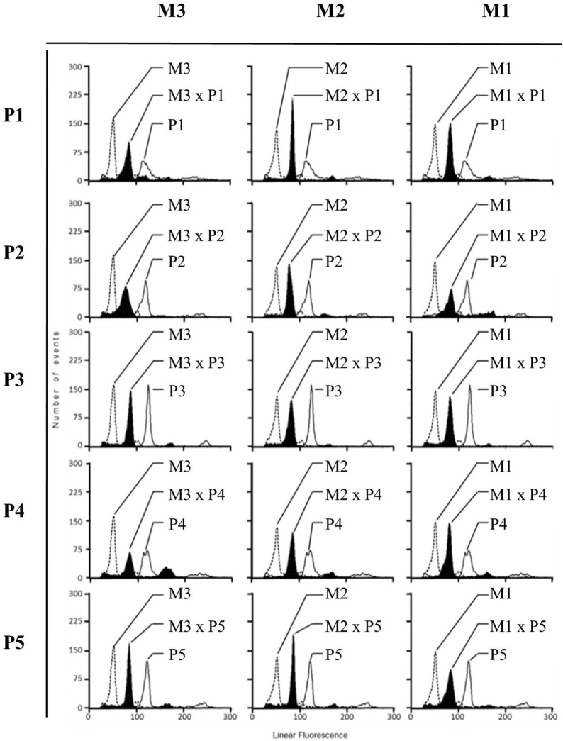 Morphological and genetic characteristics of F<sub>1</sub> hybrids introgressed from Brassica napus to B. rapa in Taiwan.