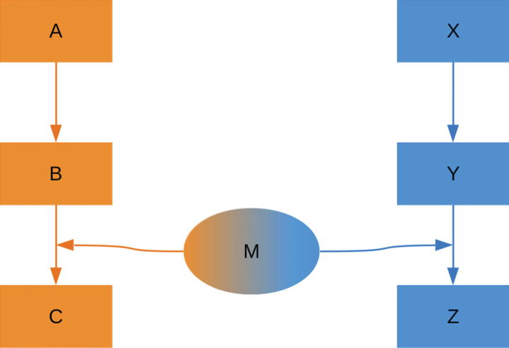 Moonlighting proteins - an approach to systematize the concept.