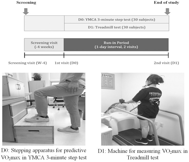 The Validity of the YMCA 3-Minute Step Test for Estimating Maximal Oxygen Uptake in Healthy Korean and Vietnamese Adults.