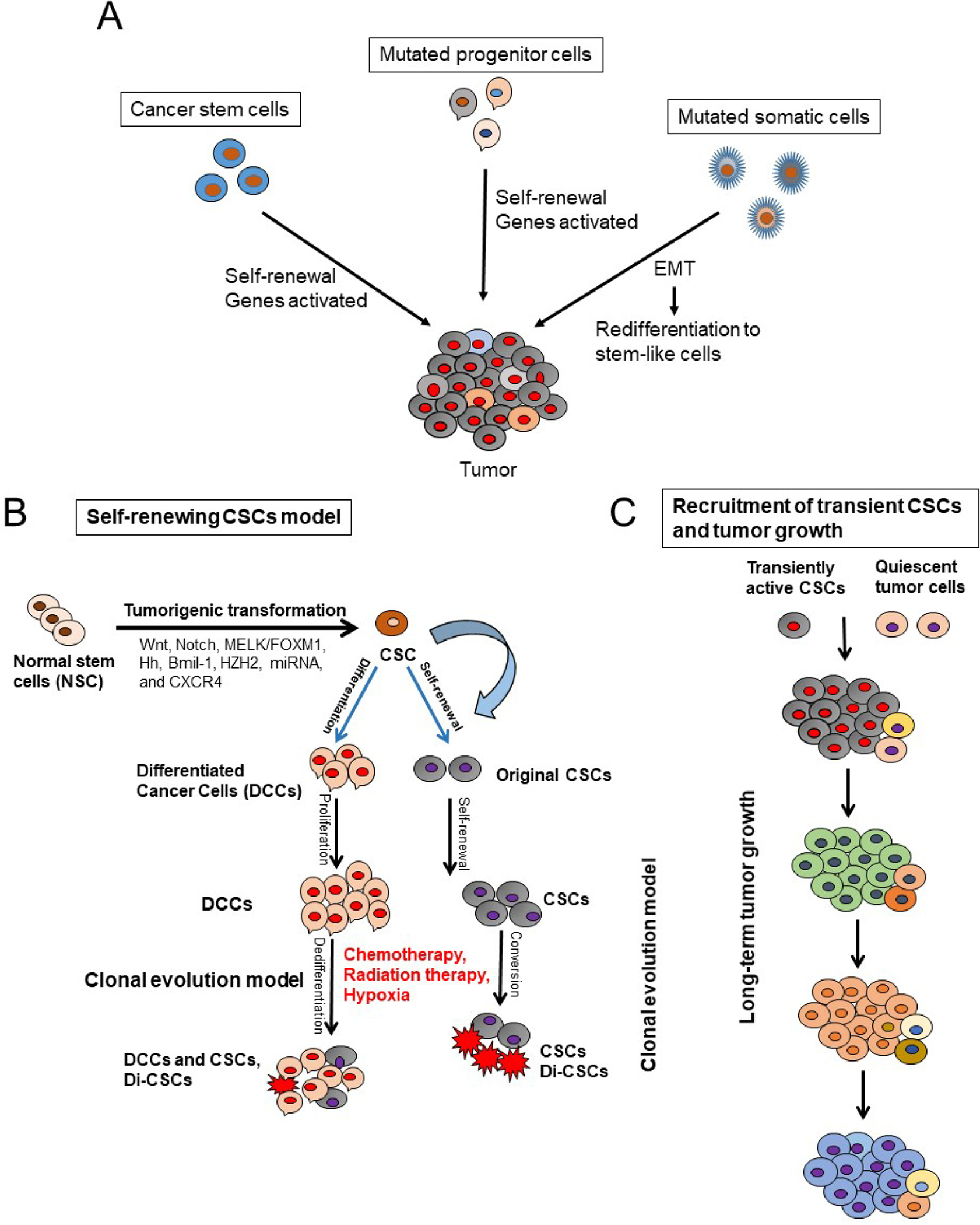 Epithelial-mesenchymal transition: a hallmark in pancreatic cancer stem cell migration, metastasis formation, and drug resistance.