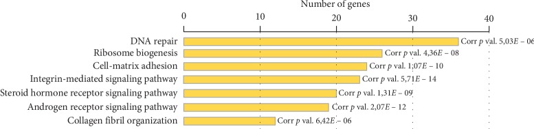 Candidate Genes Associated with Delayed Neuropsychomotor Development and Seizures in a Patient with Ring Chromosome 20.