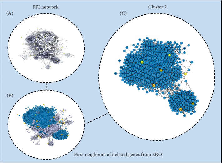 Candidate Genes Associated with Delayed Neuropsychomotor Development and Seizures in a Patient with Ring Chromosome 20.