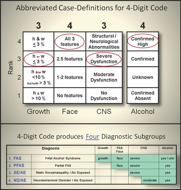 What proportion of the brain structural and functional abnormalities observed among children with fetal alcohol spectrum disorder is explained by their prenatal alcohol exposure and their other prenatal and postnatal risks?