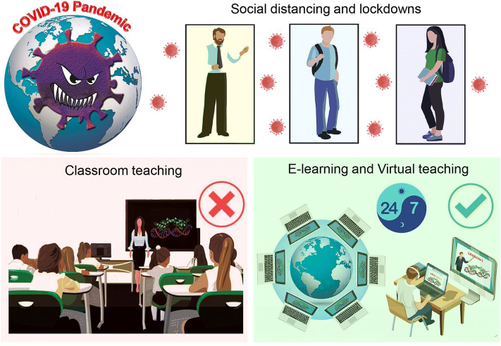 Virtualization of science education: a lesson from the COVID-19 pandemic.