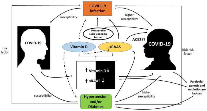 Differences in RAAS/vitamin D linked to genetics and socioeconomic factors could explain the higher mortality rate in African Americans with COVID-19.