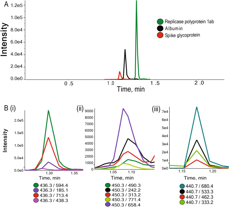 A rapid and sensitive method to detect SARS-CoV-2 virus using targeted-mass spectrometry.