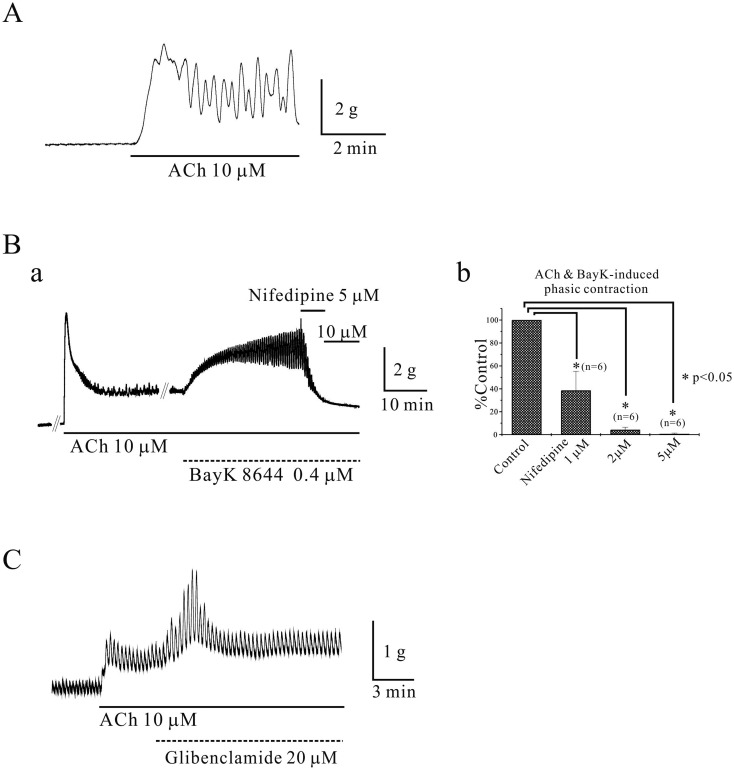 Physiological function and molecular composition of ATP-sensitive K<sup>+</sup> channels in human gastric smooth muscle.