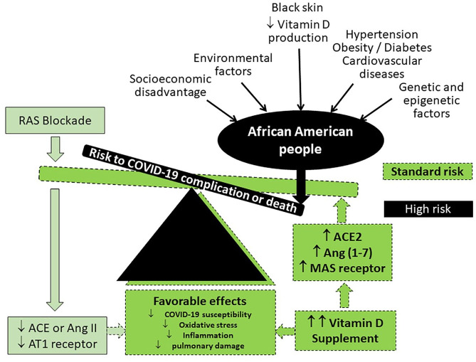 Differences in RAAS/vitamin D linked to genetics and socioeconomic factors could explain the higher mortality rate in African Americans with COVID-19.