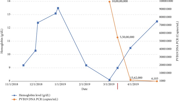 Parvovirus Infection-Related Anemia after Kidney Transplantation.