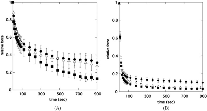 Accelerating effects of blebbistatin on relaxation process of cell membrane permeabilized trachea and taenia cecum from guinea pig.