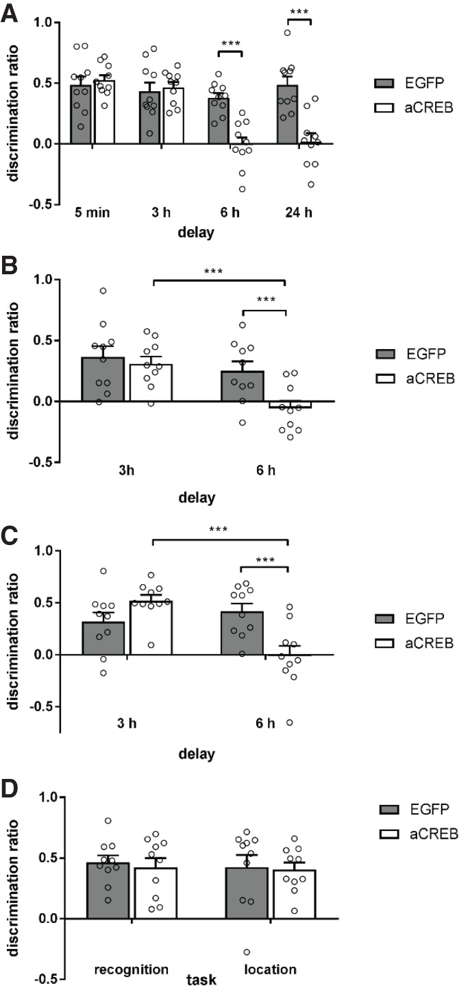 CREB transcription in the medial prefrontal cortex regulates the formation of long-term associative recognition memory.
