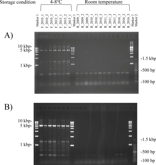 Whole-genome resequencing using genomic DNA extracted from horsehair roots for gene-doping control in horse sports.