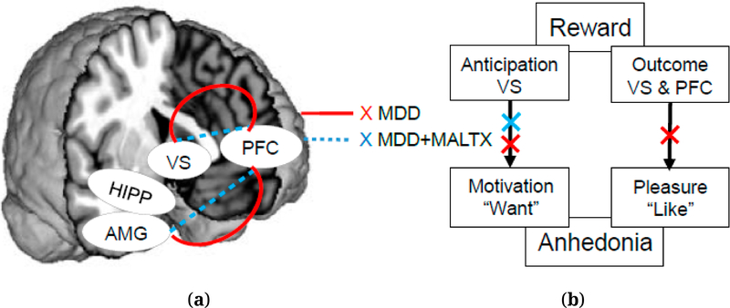 Grant Report on the Effects of Childhood Maltreatment on Neurocircuitry in Adolescent Depression.