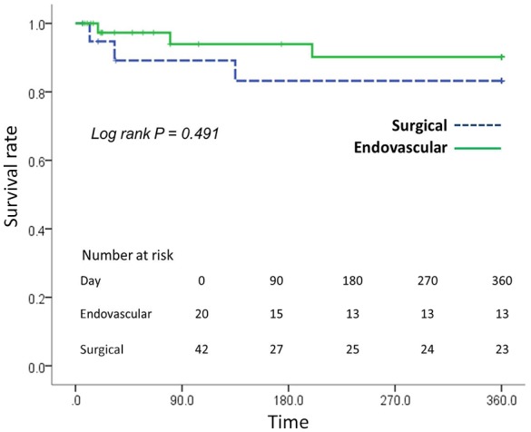 Endovascular approach for acute limb ischemia without thrombolytic therapy.