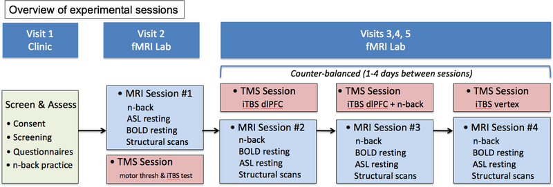 Theta Burst Transcranial Magnetic Stimulation of Fronto-Parietal Networks: Modulation by Mental State.