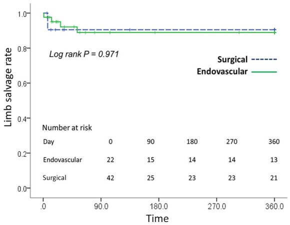 Endovascular approach for acute limb ischemia without thrombolytic therapy.