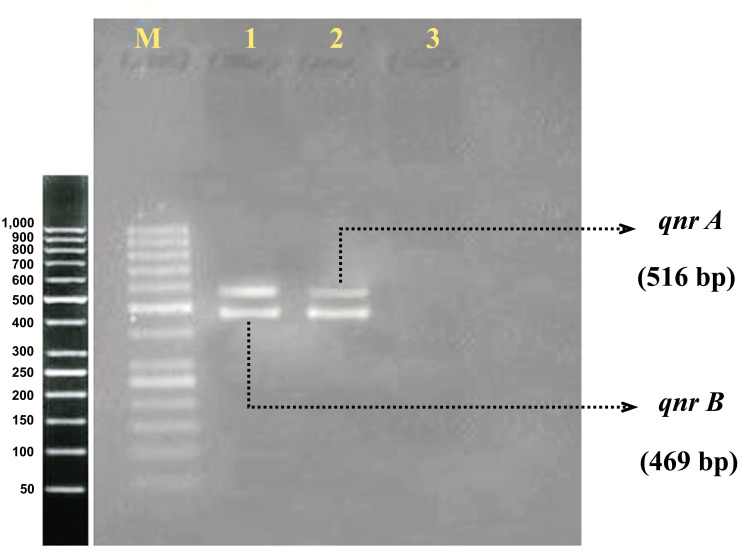 Identification of Quinolone and Colistin Resistance Genes in <i>Escherichia Coli</i> Strains Isolated from Mucosal Samples of Patients with Colorectal Cancer and Healthy Subjects.