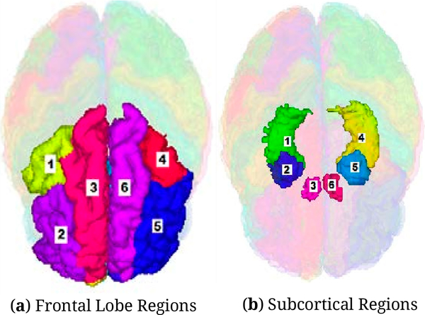 Grant Report on the Effects of Childhood Maltreatment on Neurocircuitry in Adolescent Depression.