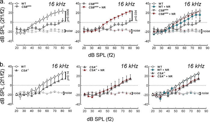 Short-term NAD<sup>+</sup> supplementation prevents hearing loss in mouse models of Cockayne syndrome.