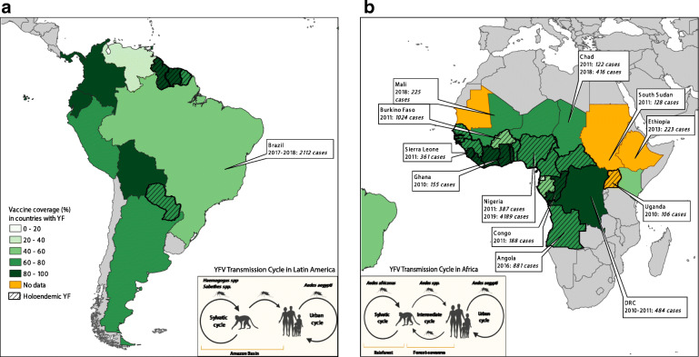 Vaccination and Therapeutics: Responding to the Changing Epidemiology of Yellow Fever.