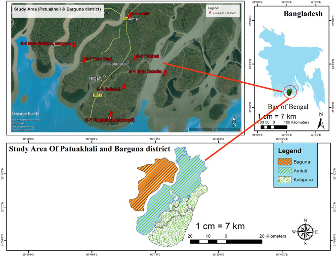 Ethnobotany of Medicinal Plants Used by Rakhine Indigenous Communities in Patuakhali and Barguna District of Southern Bangladesh.