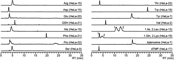 An Analytical System for Single-Cell Metabolomics of Typical Mammalian Cells Based on Highly Sensitive Nano-Liquid Chromatography Tandem Mass Spectrometry.