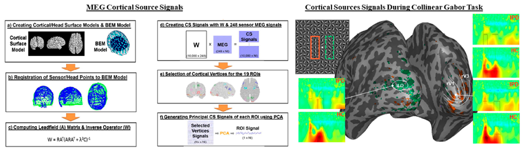 Perceptual Mechanisms of Visual Hallucinations and Illusions in Psychosis.