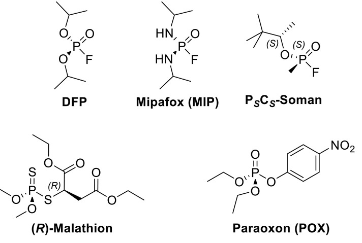 Neuropathy target esterase (NTE/PNPLA6) and organophosphorus compound-induced delayed neurotoxicity (OPIDN).