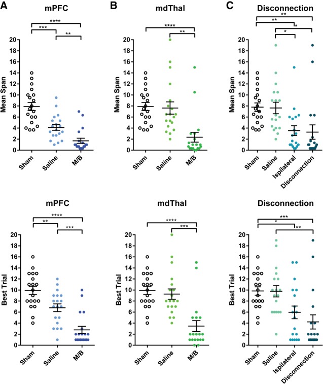 Roles of the medial prefrontal cortex, mediodorsal thalamus, and their combined circuit for performance of the odor span task in rats: analysis of memory capacity and foraging behavior.