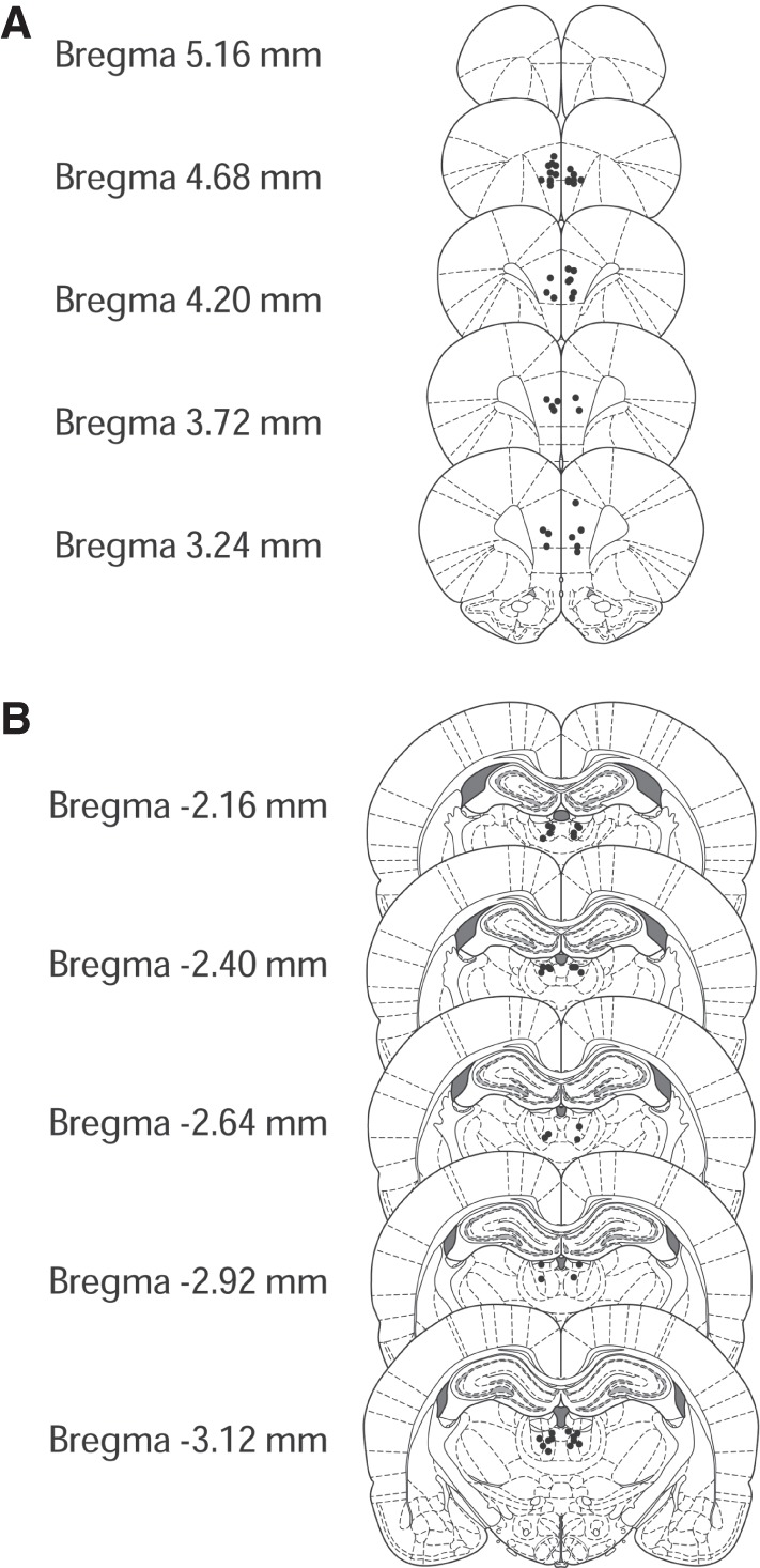 Roles of the medial prefrontal cortex, mediodorsal thalamus, and their combined circuit for performance of the odor span task in rats: analysis of memory capacity and foraging behavior.