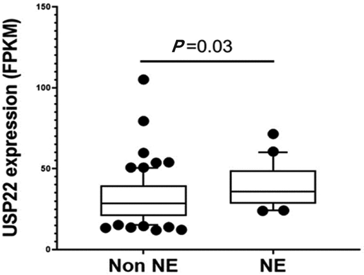 Deubiquitination in prostate cancer progression: role of USP22.