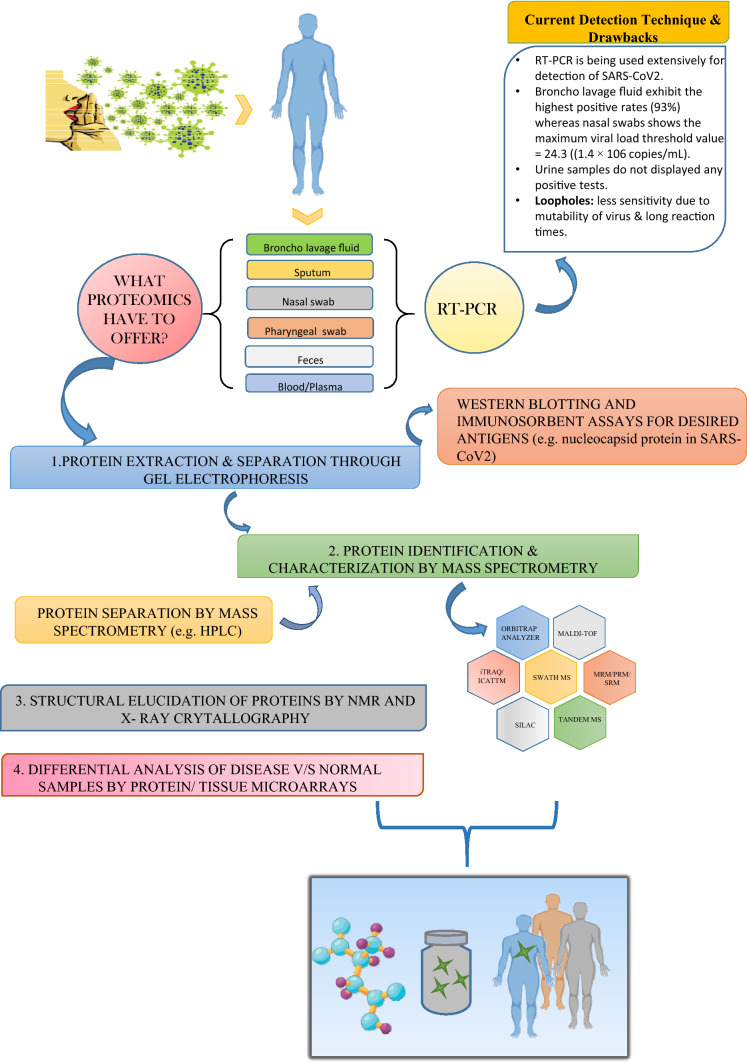 A comprehensive overview of proteomics approach for COVID 19: new perspectives in target therapy strategies.