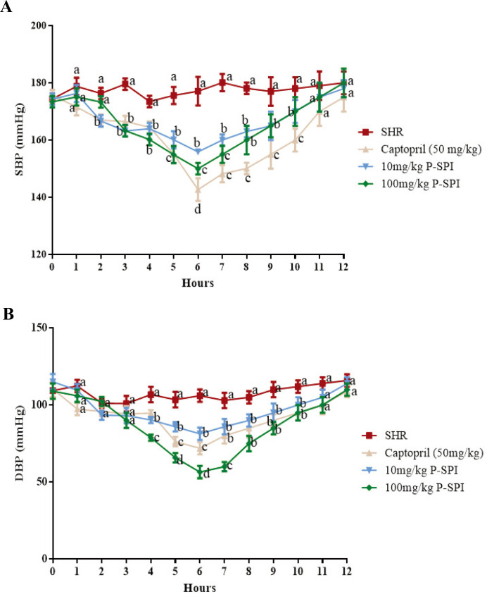 Influence of fermented soy protein consumption on hypertension and gut microbial modulation in spontaneous hypertensive rats.