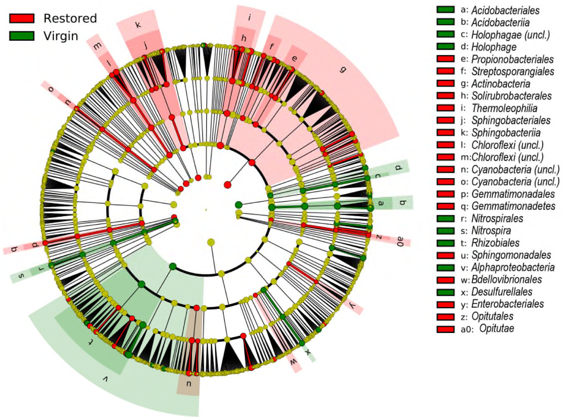 Massard Prairie Restoration and Soil Microbiome Succession.