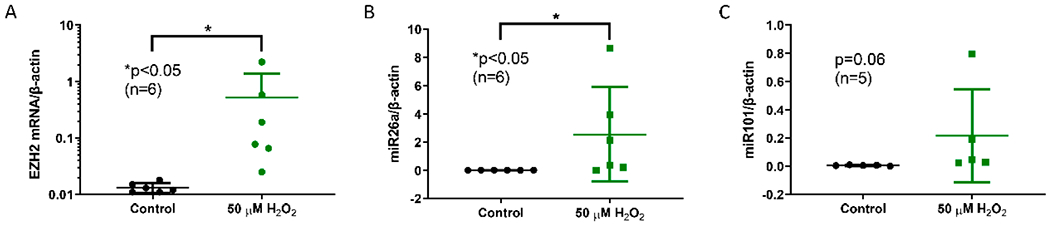 Increased Expression of EZH2 Is Mediated by Higher Glycolysis and mTORC1 Activation in Lupus CD4<sup>+</sup> T Cells.