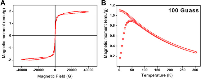 Magnetofluorescent Nanoprobe for Multimodal and Multicolor Bioimaging.