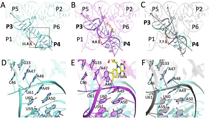 FMN riboswitch aptamer symmetry facilitates conformational switching through mutually exclusive coaxial stacking configurations