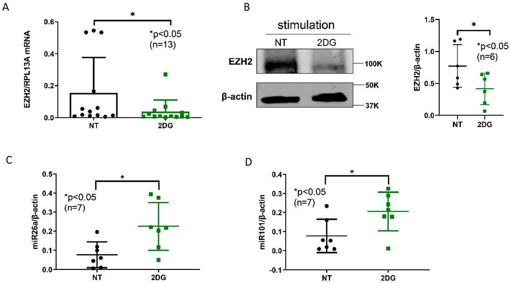 Increased Expression of EZH2 Is Mediated by Higher Glycolysis and mTORC1 Activation in Lupus CD4<sup>+</sup> T Cells.