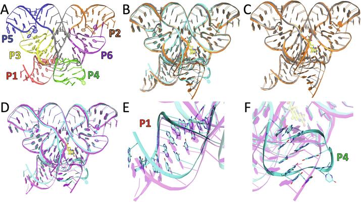 FMN riboswitch aptamer symmetry facilitates conformational switching through mutually exclusive coaxial stacking configurations