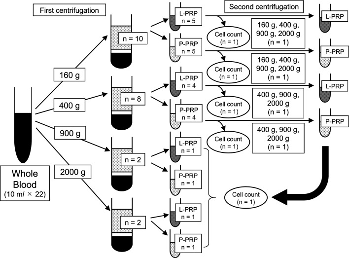 Optimal double-spin method for maximizing the concentration of platelets in equine platelet-rich plasma.