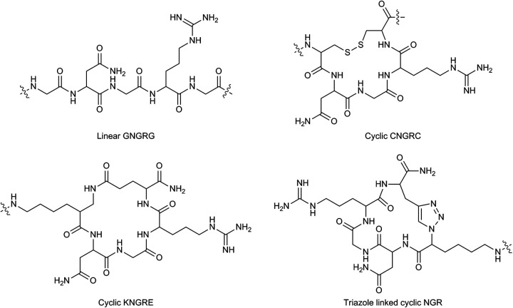 Research Progress of Radiolabeled Asn-Gly-Arg (NGR) Peptides for Imaging and Therapy.