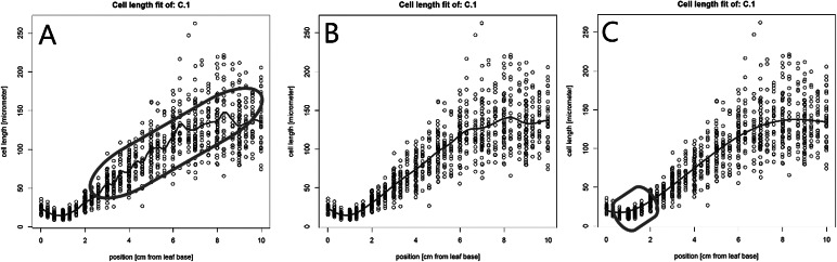 <i>leafkin</i>-An R package for automated kinematic data analysis of monocot leaves.