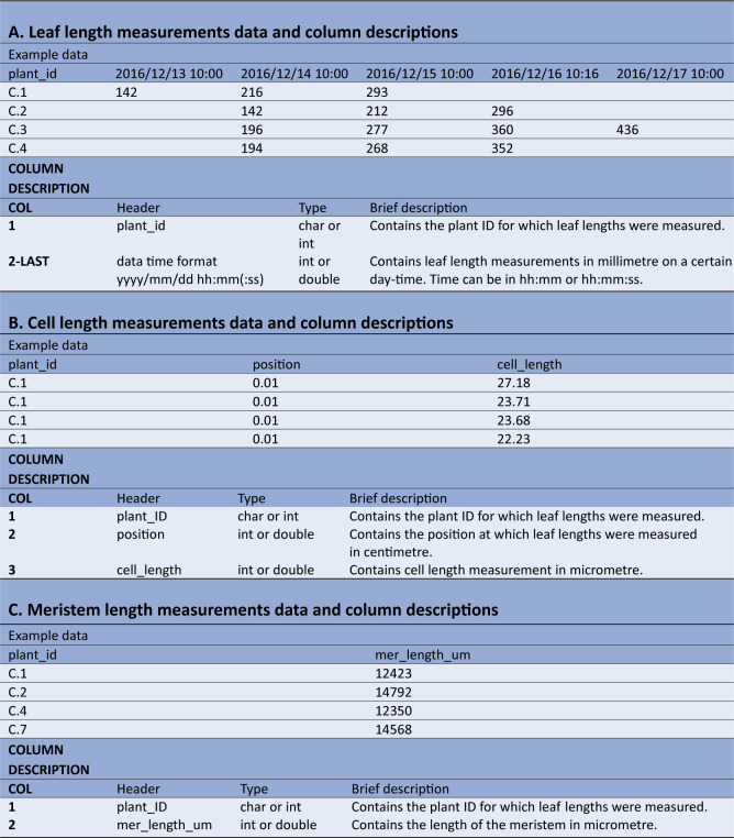 <i>leafkin</i>-An R package for automated kinematic data analysis of monocot leaves.